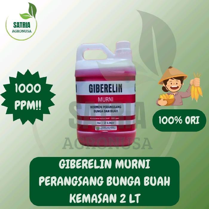 Promo ZPT Giberelin Murni 1000 PPM 2 Lt / Hormon Pemacu Buah dan Bunga pada Tanaman Terlaris