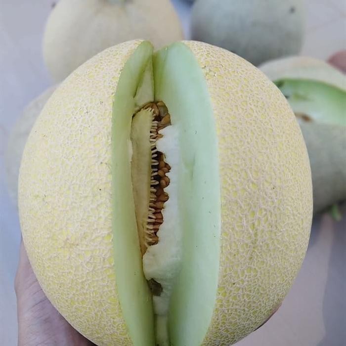 Promo Pupuk Kalium Tanaman K99 - Nutrisi Untuk Memaniskan Buah Terjamin