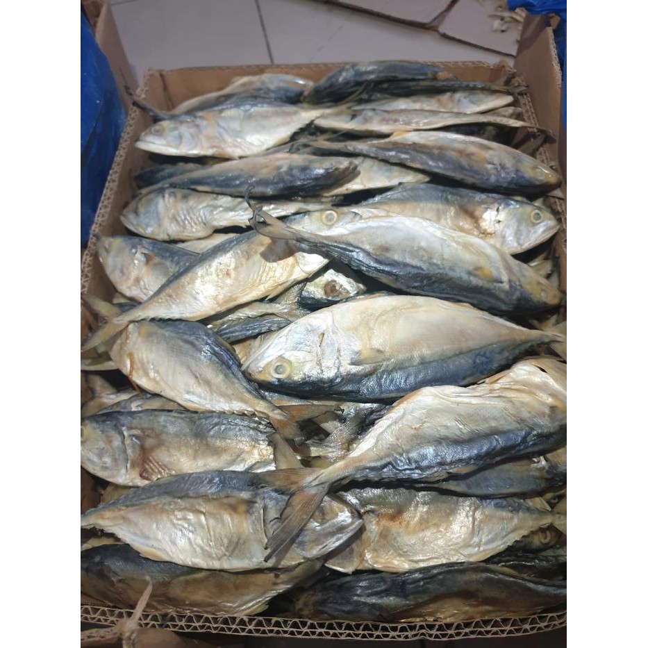 

Pilihan- Peda Banjar Putih [Ikan Asin Murah][Grade A]