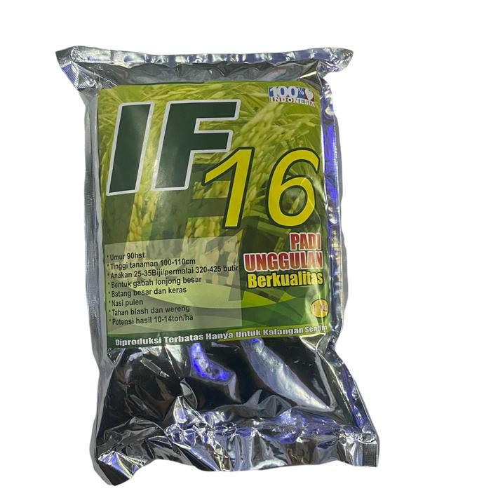 Maknyuss1 Benih Padi If 16 Bibit Padi If 16 Ab2Ti 1Kg
