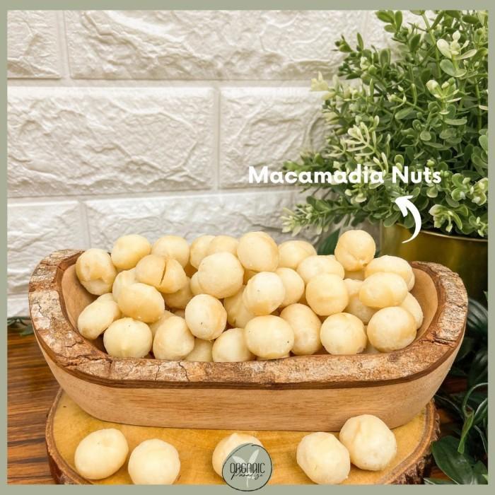 Kacang Macadamia Mentah 1 KG / Raw Macadamia Nut 1 KG Organic Paradise