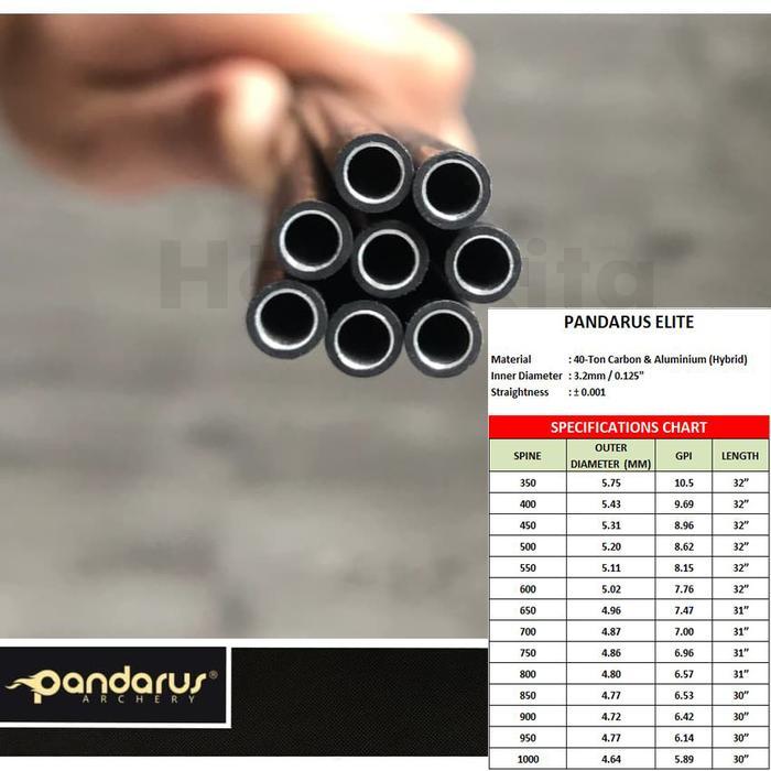 Anak Panah Arrow Carbon Hybrid Pandarus Elite X10