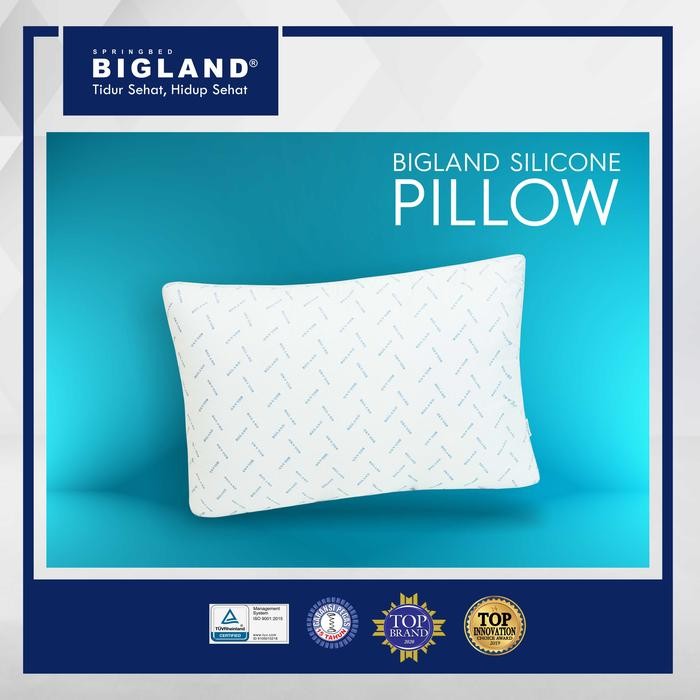 Bigland Bantal Kepala Silicon
