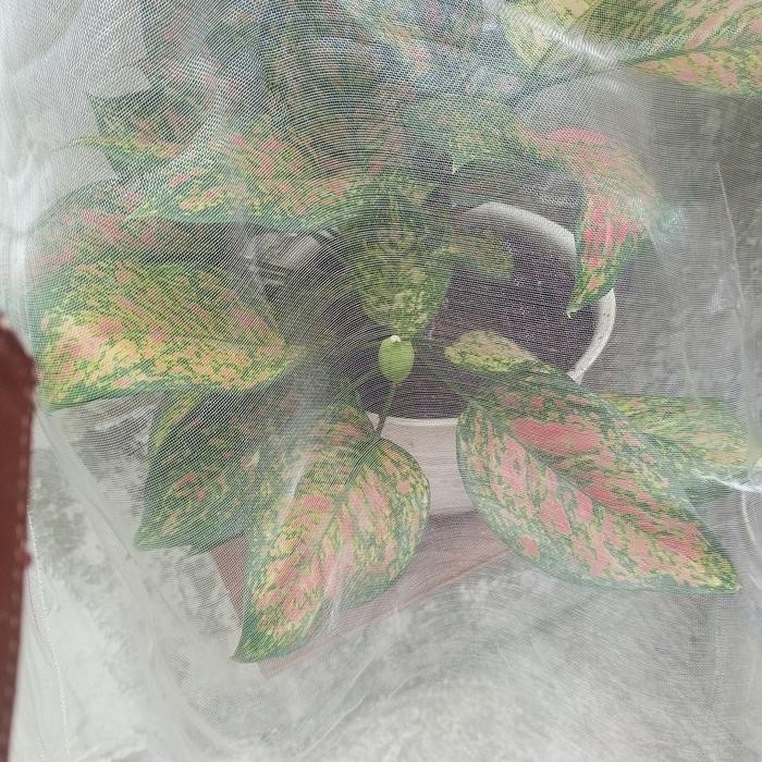 Insect Net mesh Putih 1x1 meter/Insect Screen Hama Net mesh  per meter