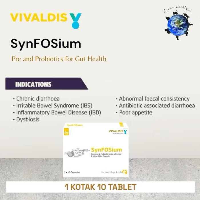 Ready Vivaldis Synfosium Pre & Probiotik - Digestive / Diare Akut - Iritasi Usus - Radang Usus (1