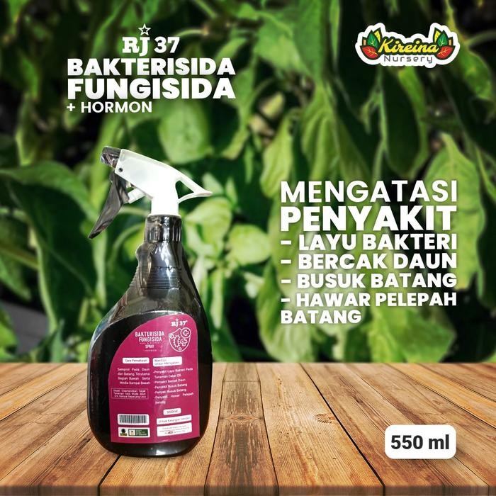 PROMO Bakterisida & Fungisida Organik RJ 37 Spray 550ml