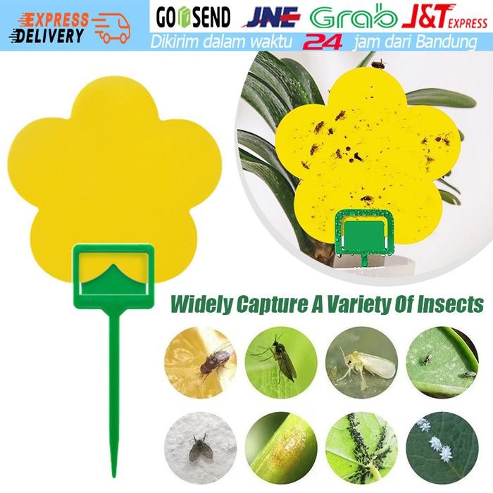 AMPUH 10 Lembar Lem Perekat Lalat Buah Perangkap Hama Likat Kuning Yellow Sticky Trap