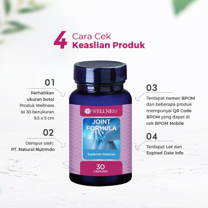 WELLNESS JOINT FORMULA 30 CAPSULES