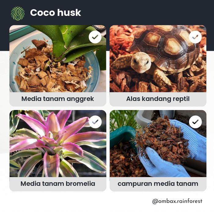 TERLENGKAP Ombax rainforest - Coco Husk / Coco Chips Sabut Kelapa Cacah Kering Media Tanam & Alas