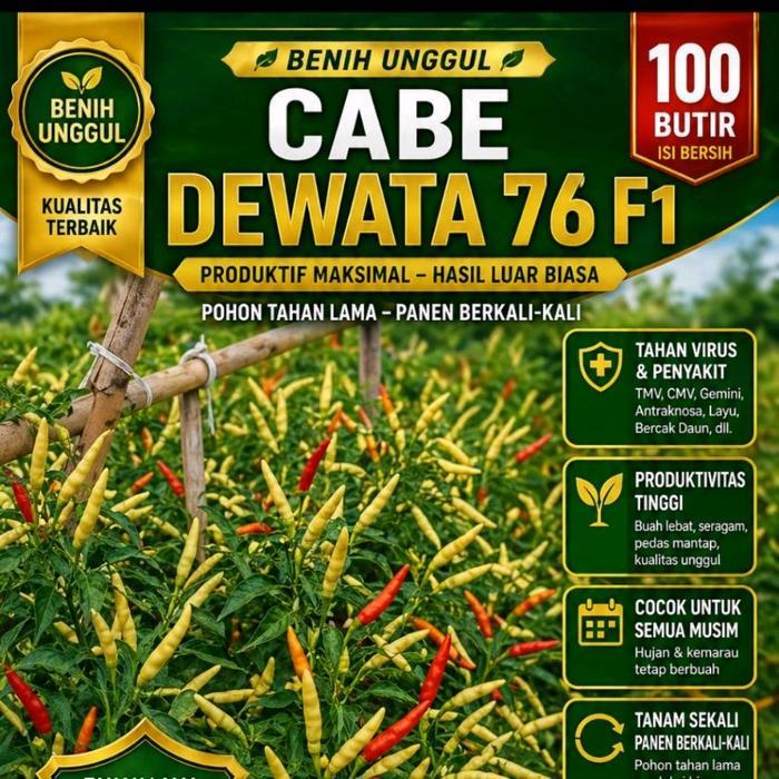 DEWATA 76 F1 isi 100 butir bibit cabai rawit hibrida pertumbuhan menyemak hasil 1.2-1.5 kg per