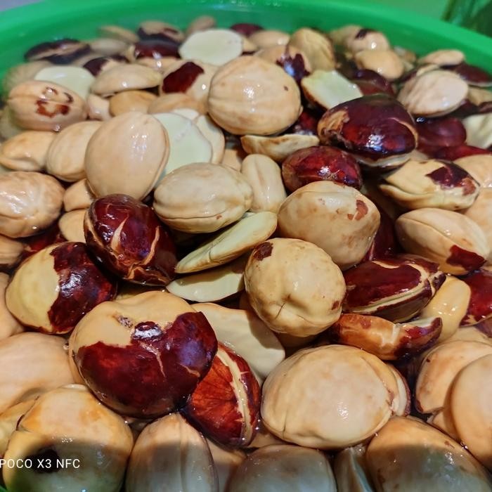 

Mamiseler45 - Jengkol Balado Padang 500G - Makanan Frozen Pedas & Siap Masak