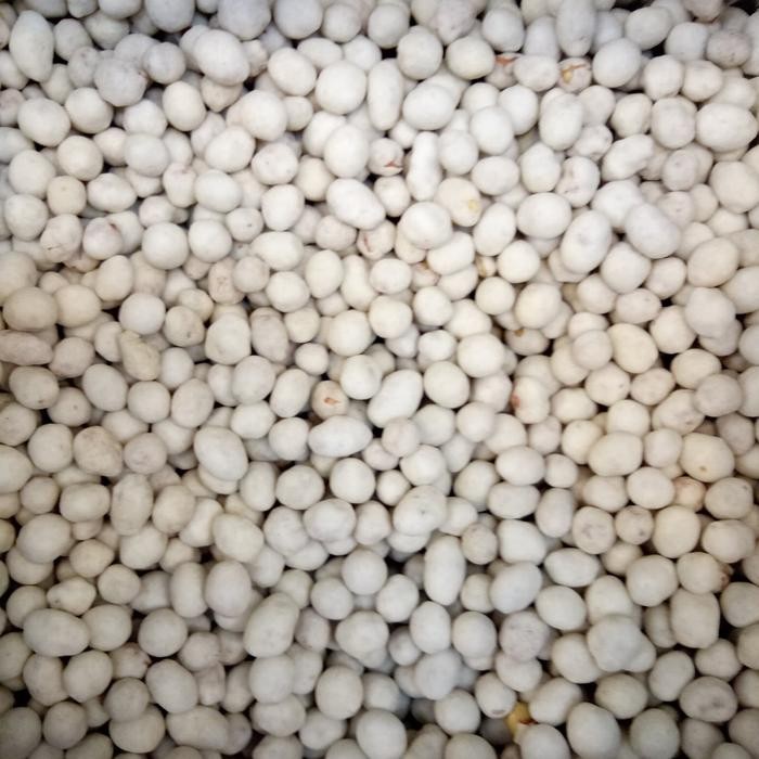 

Pilihan- Kacang Sukro Gurih Sianghai