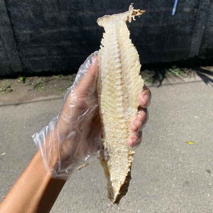 

Pilihan- Tulang Ikan Asin Jambal Roti