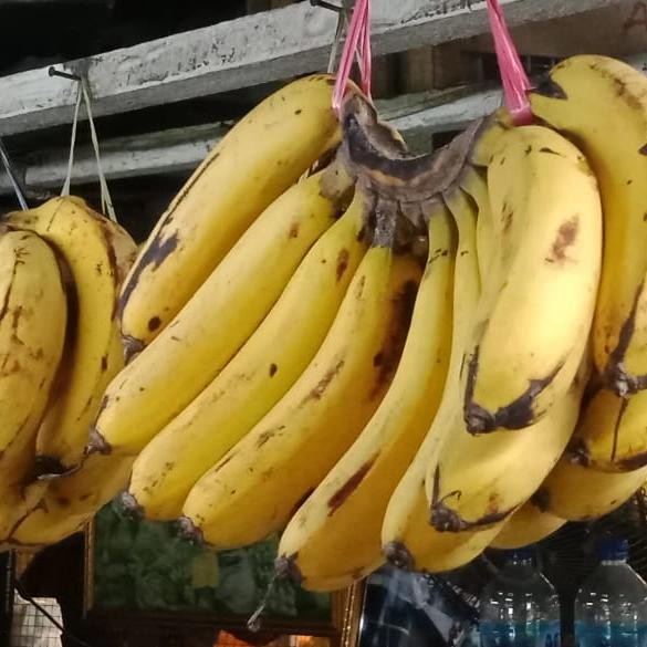 

Pilihan- Pisang Barangan - 1 Sisir