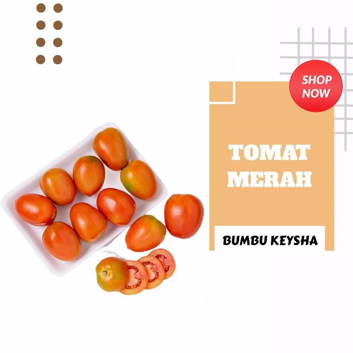 

Pilihan- Tomat Merah