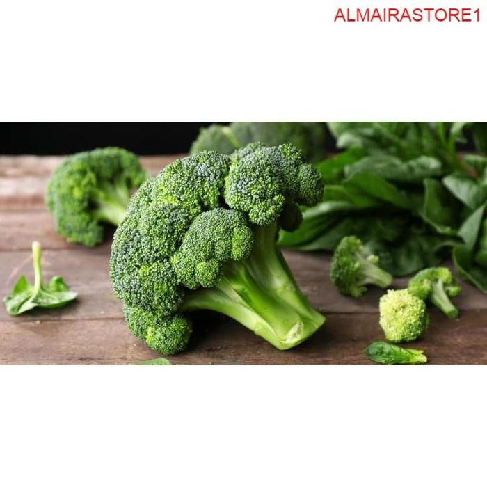 

Pilihan- Sayuran Segar Sayur Fresh Brokoli 500 Gram - Wfbogor