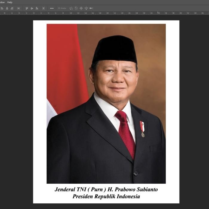 

Kertas foto presiden 25x35 cm