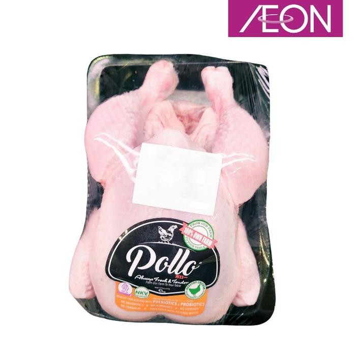 

Pilihan- Ayam Pollo Broiler / Karkas / Pollo Chilled Whole Chicken