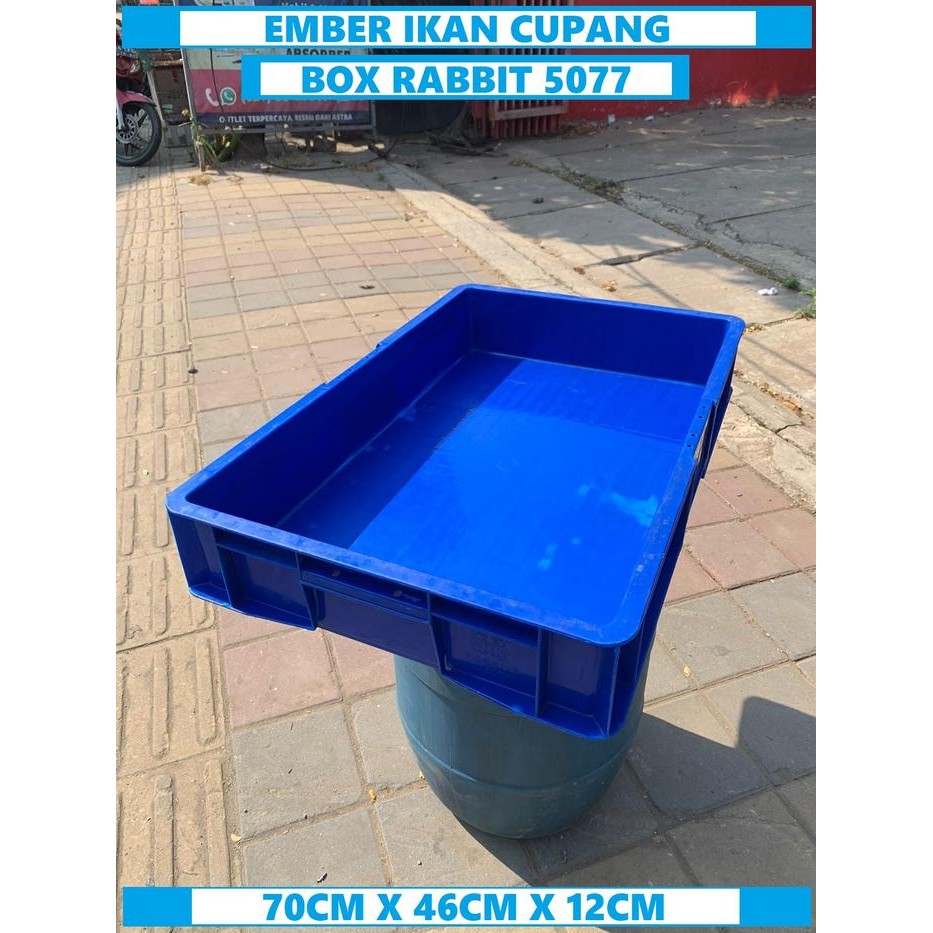 Bak ikan Box Rabbit Container Box Rabbit Plastik Box perkakas 5077