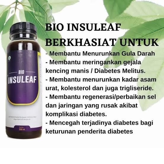 BIO INSULEAF HERBAL INSULIN AMPUH ATASI DIABETES DAN TURUNKAN GULA DARAH 250ML ASLI ORIGINAL