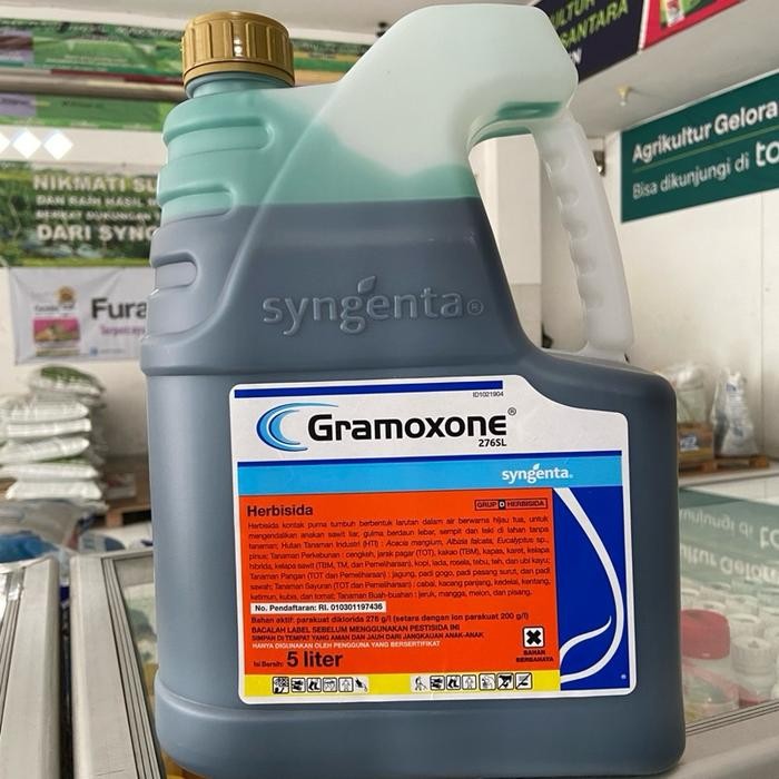 AMPUH Gramoxone 276SL 5L Herbisida Pembasmi Rumput Liar
