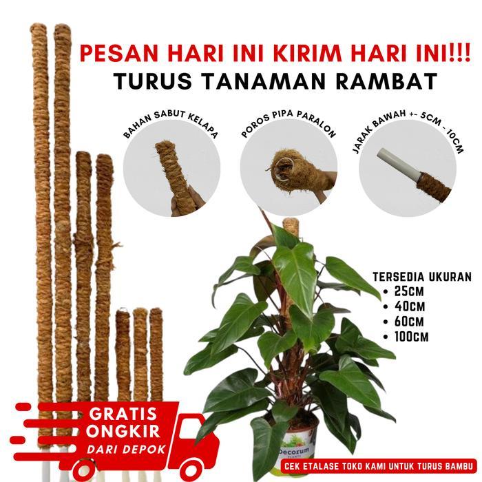NEW Turus penyangga tanaman / turus / turus tanaman / penyangga tanaman