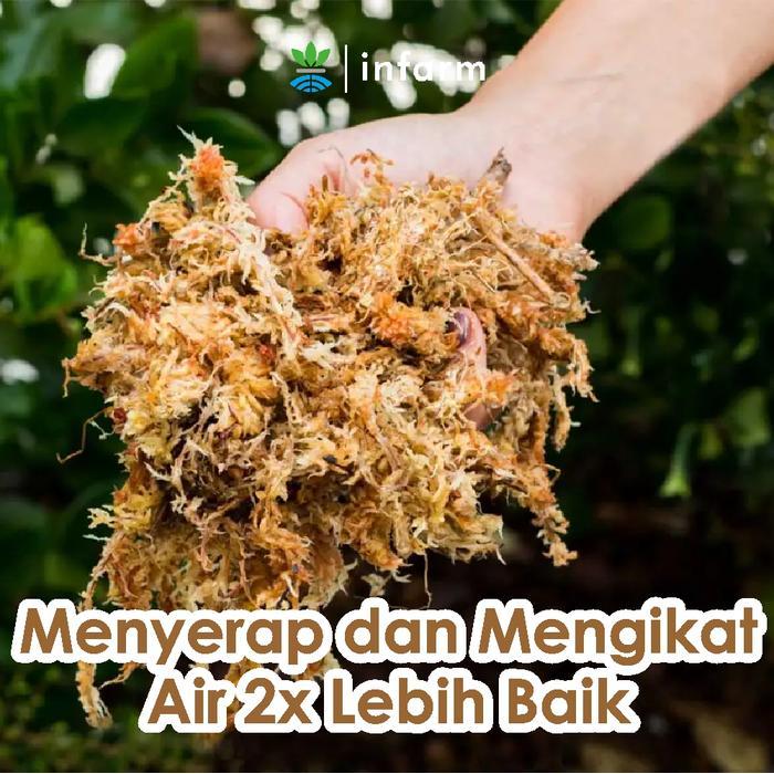 OBRAL INFARM - Sphagnum Moss Premium Media Tanam moss tanaman hias sphagnum moss premium media tanam