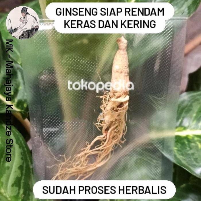Teh Ginseng Herbalis Kering Utuh Per Batang ( S ) Mutu Terjamin Sehat Promo
