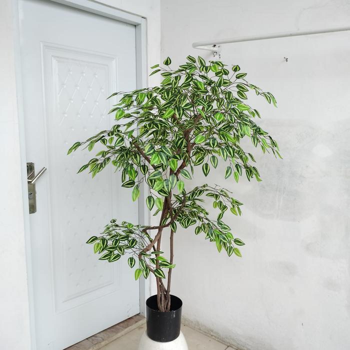 DR Pohon Beringin Artificial // Pohon Beringin Artificial Sudut Ruangan Tinggi 1,3 m// Pohon