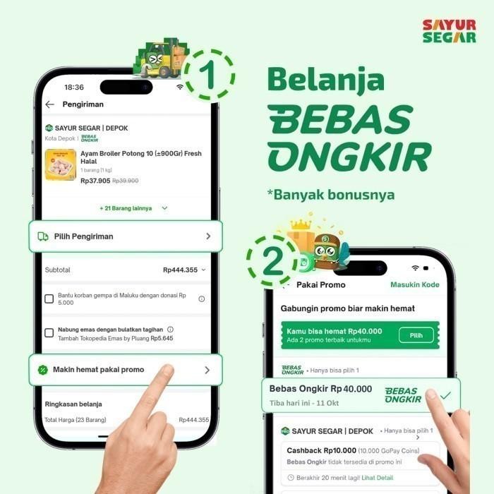 MURAH kembang kantil / bibit