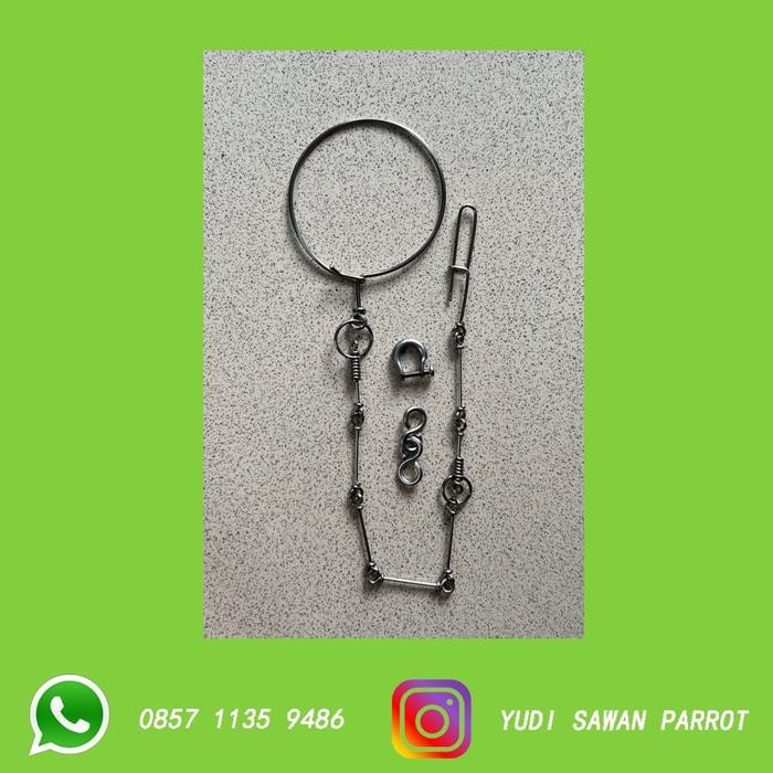 R06 Rantai Rante Burung Kakatua Afgrey Jambul Kuning Galah Severe