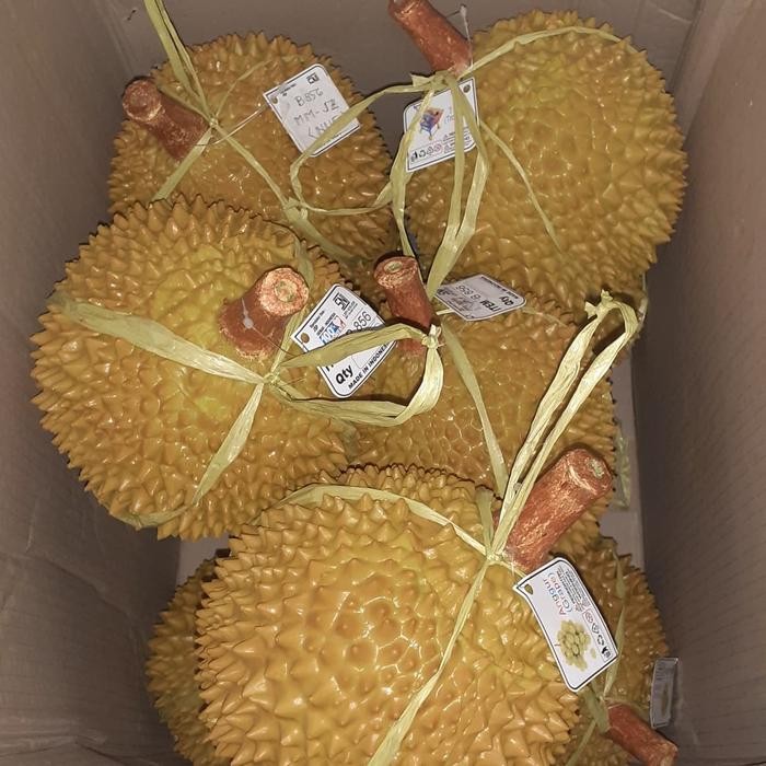 

Pilihan- Durian Hias Replika Durian Hiasan Durian Buah Hias Durian Imitasi Buah