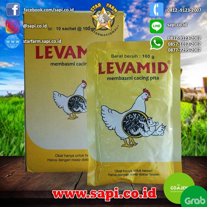 LEVAMID 100GR