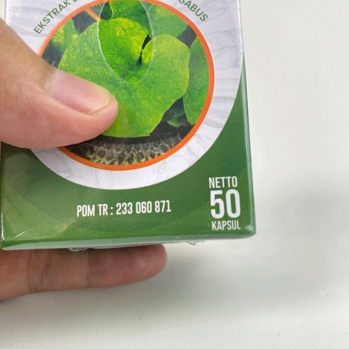 BINAHONG PLUS IKAN GABUS 50 KAPSUL ORIGINAL G BINAHONG KUTUK ORIGINAL - PROMO HEMAT