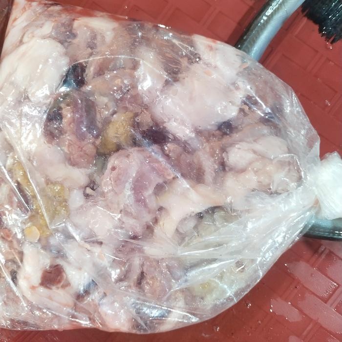 Segar&amanah- Telor Ikan Mas Campuran Segar Per Kantong Ya Kak