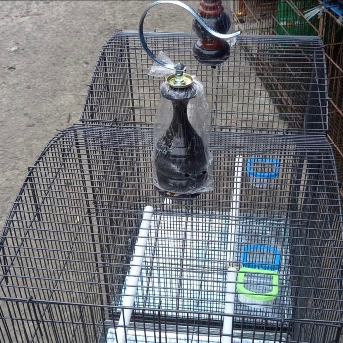 6yfd- Kandang Kotak Besi - Kandang Jalak Kacer Besi