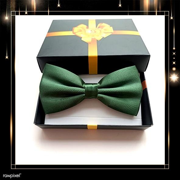 Dasi Kupu Kupu warna hijau lumut muda army anak