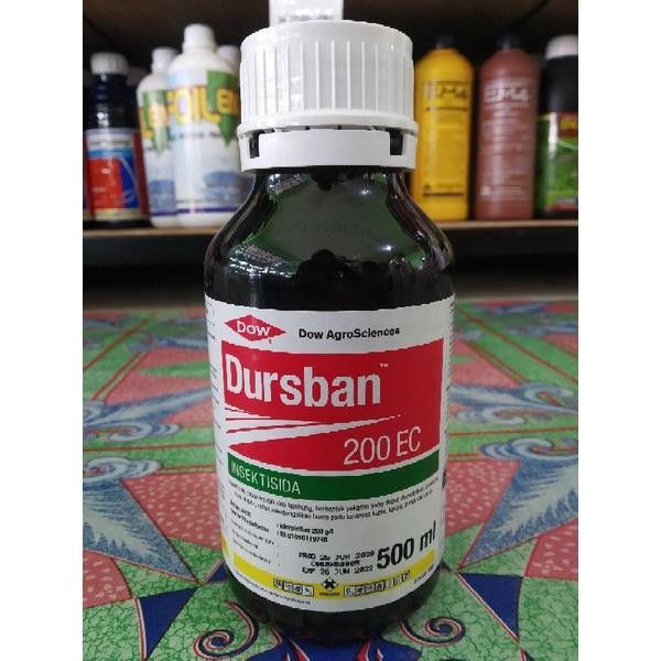 Dursban 200 EC 500 ML Insektisida