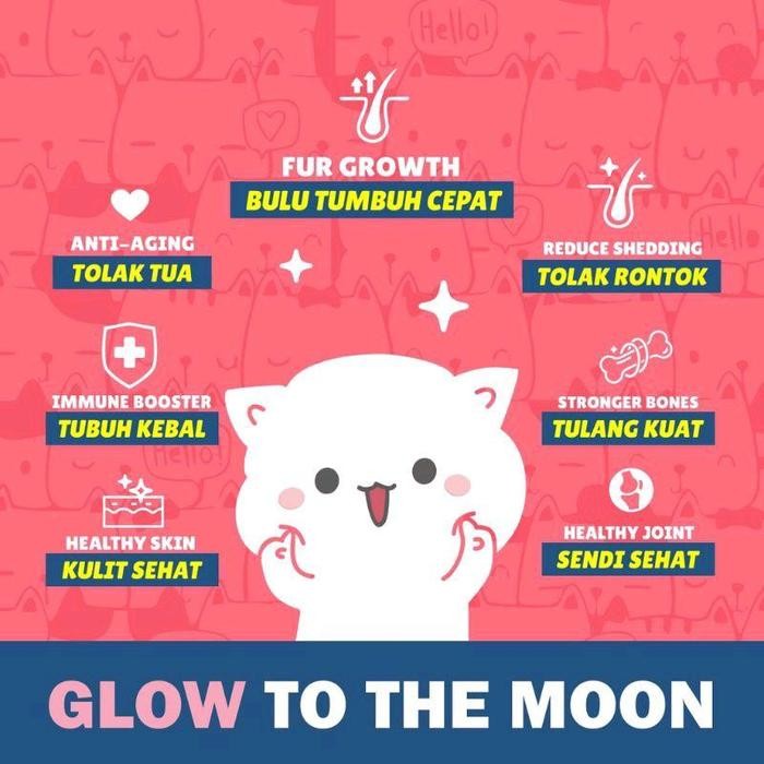 Petglow Glow Up with Korean Collagen/Vitamin Bulu Anjing Kucing