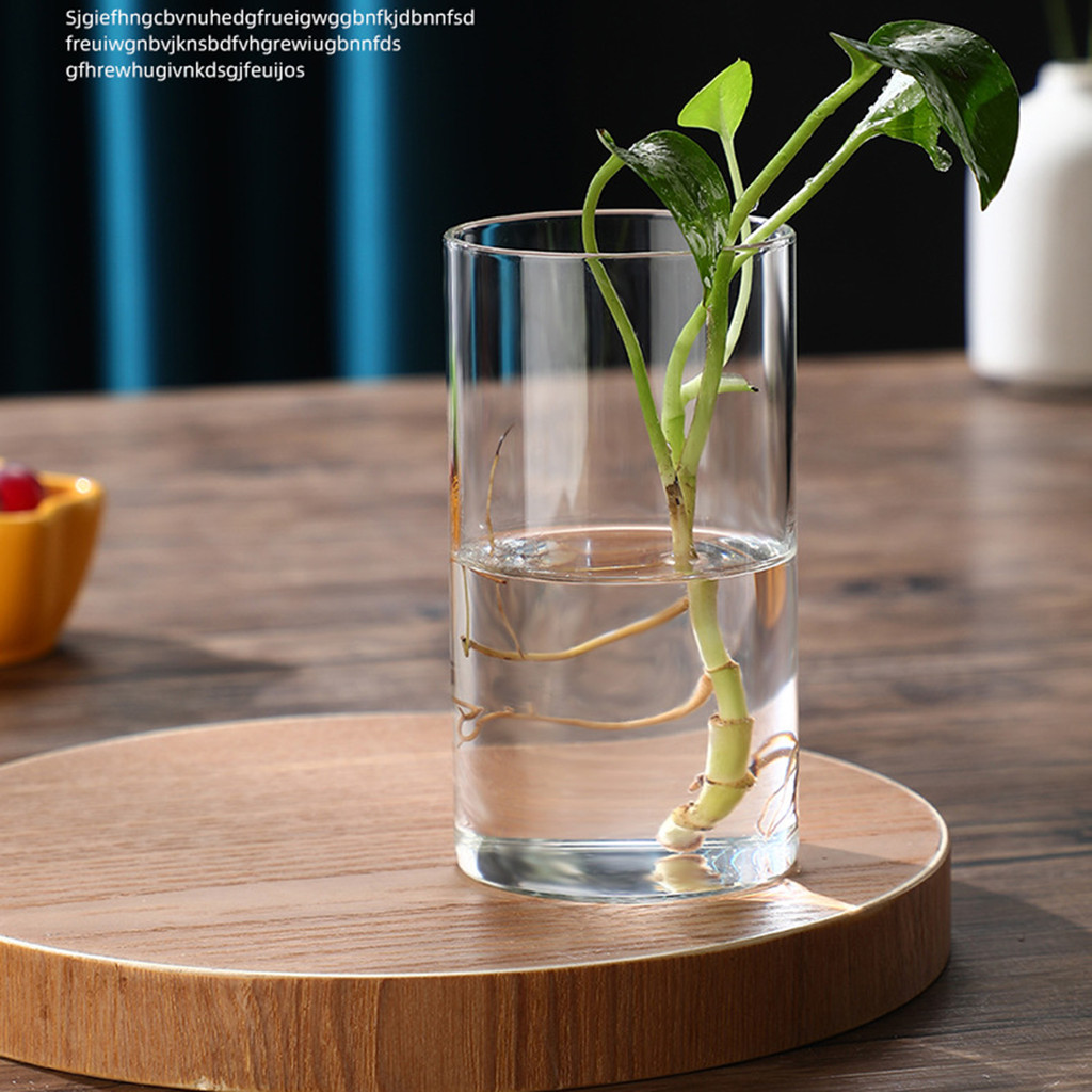Glass Desk Vase Flower Vase Modern decoration Small Cylinder Flower Centerpiece Vases for Home Offic