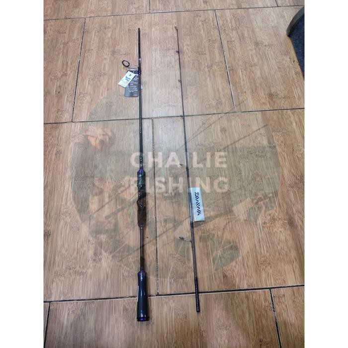 Ready Joran Daiwa Infeet 602MS-SD