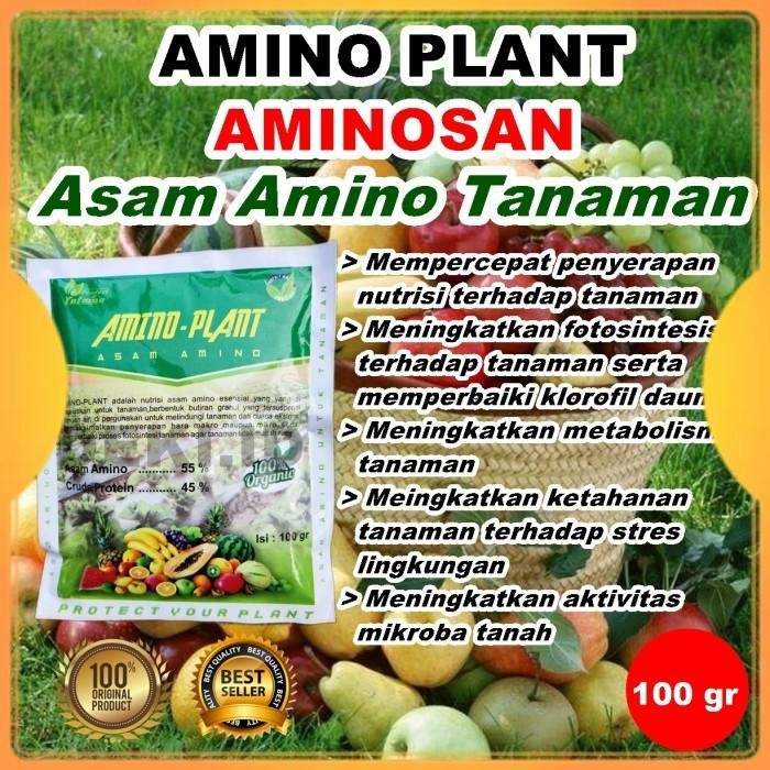 New Aminosan Asam Amino Untuk Tanaman Pupuk Organik Anggur