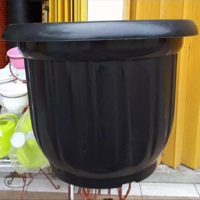 Pot Hitam Flamboy ukuran 50 cm / Pot jumbo tanaman gloria ukuran 50 cm Bunga