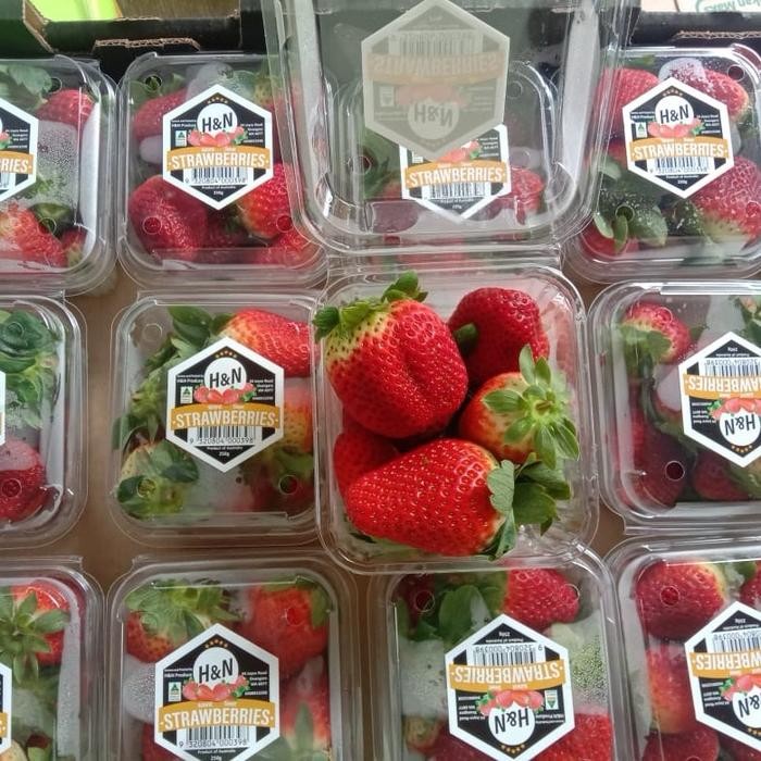 SegArRr- Buah Strawberry Korea Strawberry Premium Korea - 1 Pack