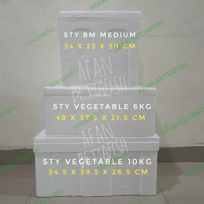 x1y5- Styrofoam Lembaran Medium Uk 100 X 50 X 5 Cm / Sterefoam Lembaran
