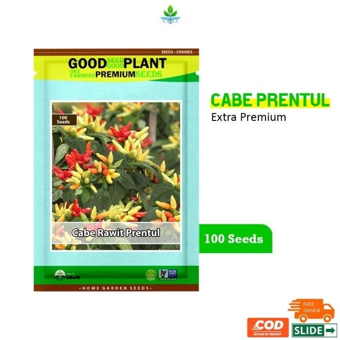 [ Extra Premium - 100 Biji Benih Bibit Cabe Rawit Putih Setan Prentul F1 ]