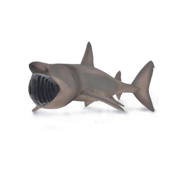 Collecta Figure Basking Shark 88914 Omah Kampus