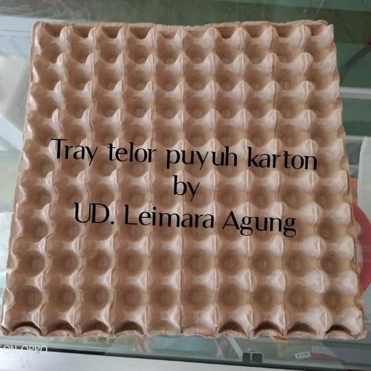 (Allthebest) tray puyuh karton/tempat telur puyuh karton