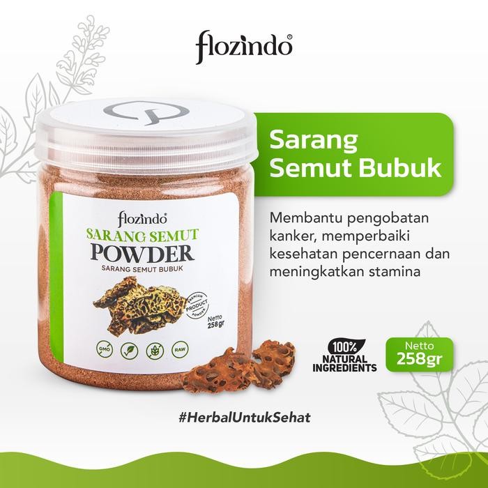 

TERMURAH Flozindo Sarang Semut Papua Podwer / Sarang Semut Bubuk READY STOCK