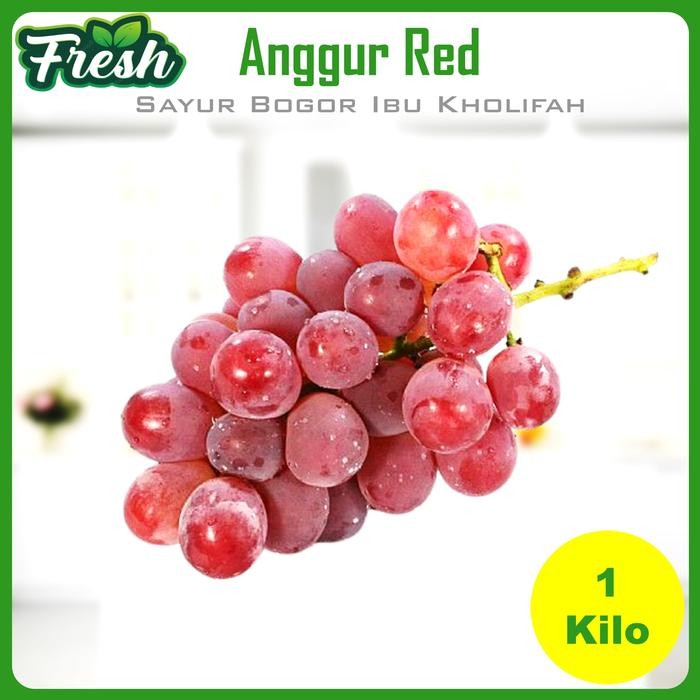 

Pilihan- Buah Anggur Red Segar Buah Segar Bogor